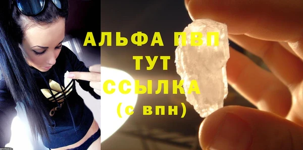 прущие грибы Майский