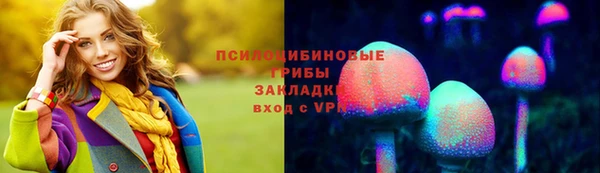 мет Бородино