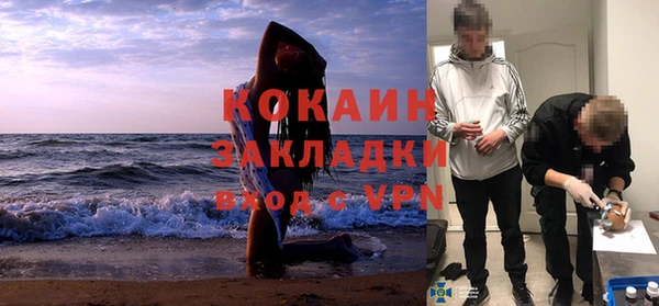 прущие грибы Богородицк