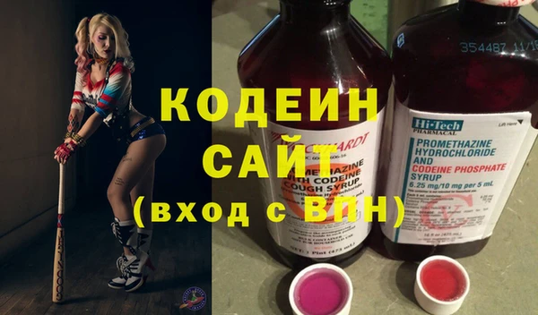 прущие грибы Богородицк