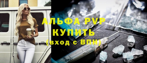 прущие грибы Богородицк