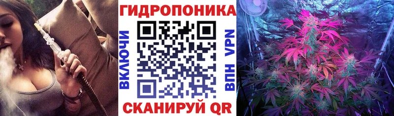 Конопля план  где можно купить наркотик  Нарьян-Мар 